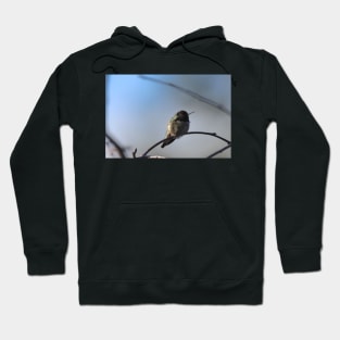 Hummingbird Hoodie